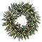 National Tree Company 30" Snowy Morgan Spruce Wreath with Twinkly™ LED Lights